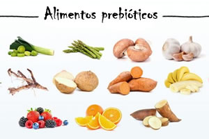 Alimentos prebióticos